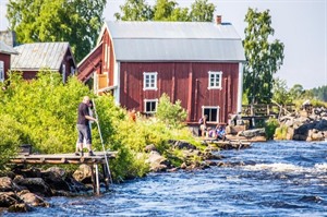 Kukkolaforsen 6