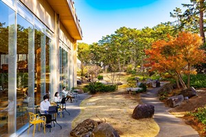 Kyukamura Minami-Izu