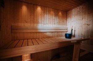 Log Cabin Villa Sauna