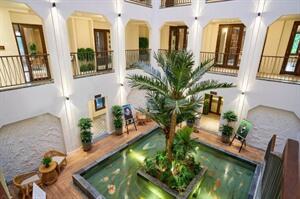 Little Oasis