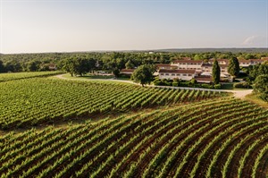 Meneghetti Winery Vineyard