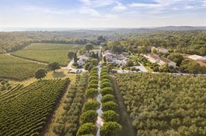 View across the estate at Meneghetti Winery