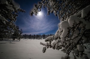 Wilderness at the Northern Lights Village