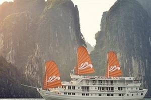 Paradise Luxury Cruise