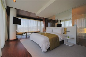 Radisson Hotel- double bedroom