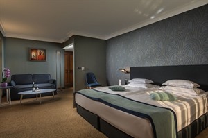 Rosslyn Thracia Hotel - superior room