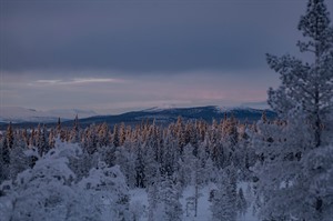 Sapmi Nature Camp 7