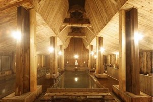 Shin-Tamagawa Onsen