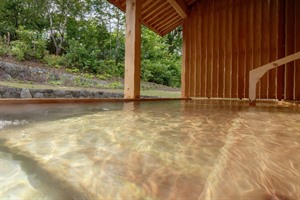 Shin-Tamagawa Onsen