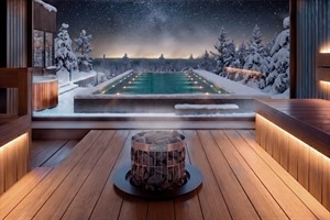 Sauna and infinity pool - rendering image