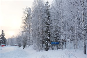 Snowy scenes at Sorbyn Lodge