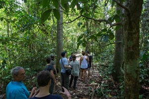 Sukau Rainforest Lodge 5