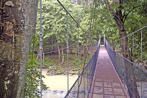 Tabin Wildlife Resort - canopy walkway