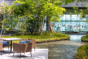 The Blossom Kumamoto