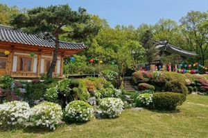 The Lotus Lantern International Meditation Center (Temple Stay)