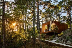 Theodosius Forest Village 1