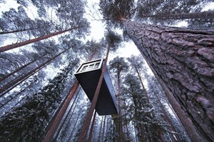 The Cabin at the Treehotel Sweden