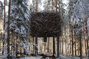 Birds Nest at the Treehotel Sweden