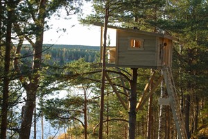 Treehotel Sweden 8