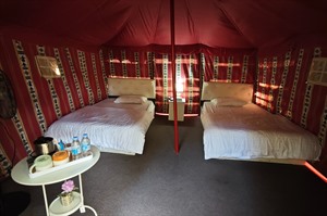 Wadi Disah Mango Farm 2