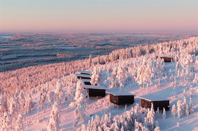 Arctic Giant Birdhouse Hotel