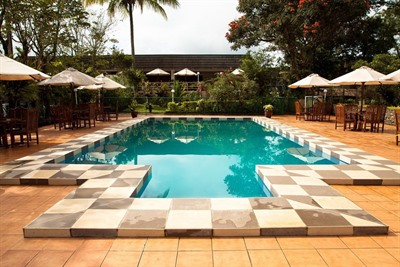 Bird of Paradise Hotel