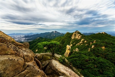 Geumseonsa Temple Stay