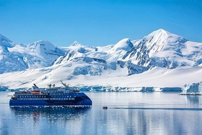Ocean Albatros