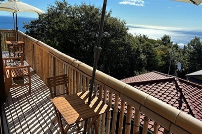 Pacific Panorama