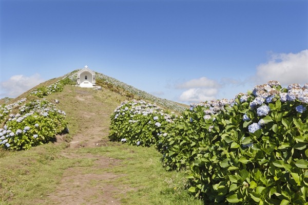 TERCEIRA ISLAND