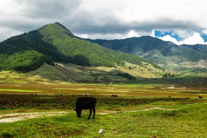 PUNAKHA TO PHOBJIKHA VALLEY