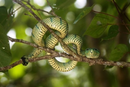 BATANG AI NATIONAL PARK