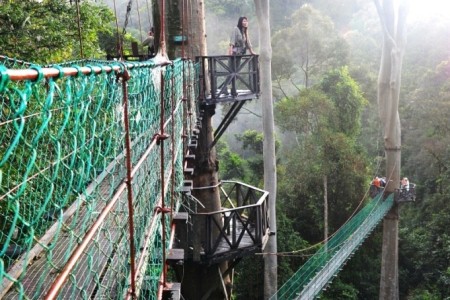 DANUM VALLEY CONSERVATION AREA