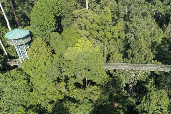 SEPILOK REHABILITATION CENTRE