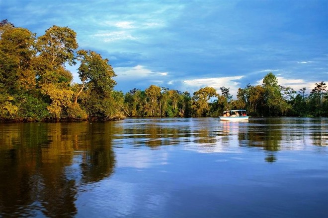 KINABATANGAN RIVER