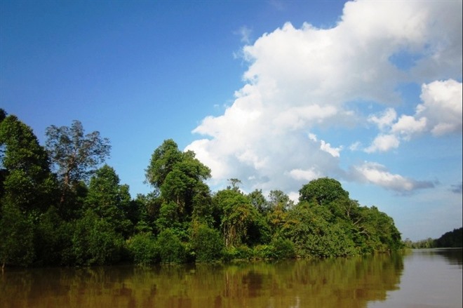 KINABATANGAN RIVER