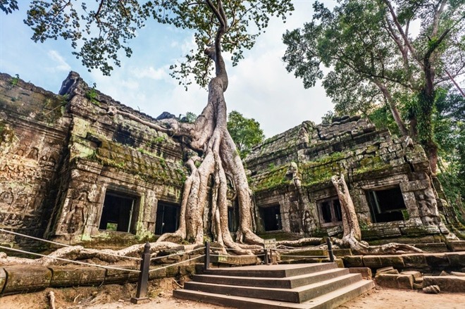 Ta Prohm Temple, Angkor