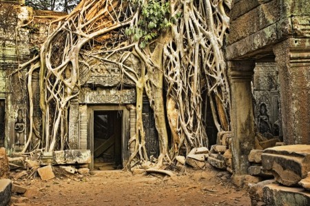 ANGKOR COMPLEX