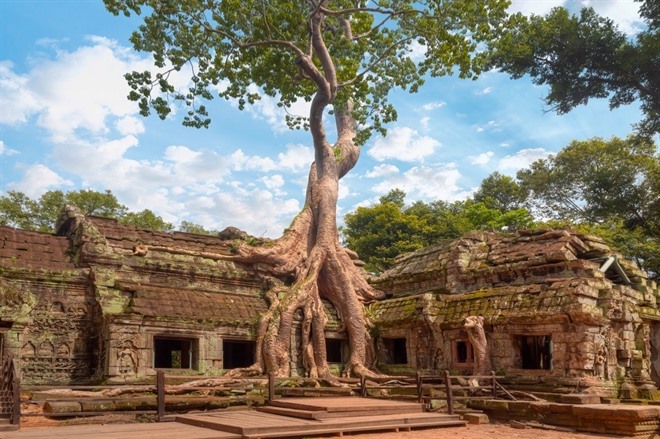 Ta Prohm