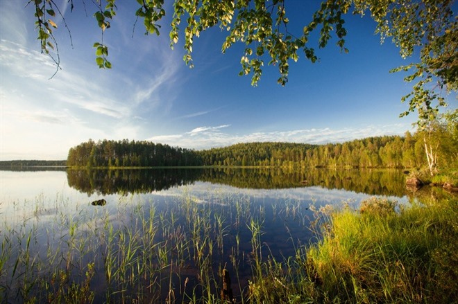 Lake Pielinen