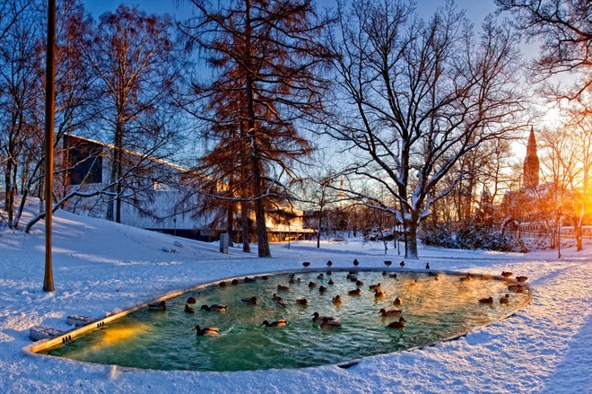 Helsinki Park in winter - Finland