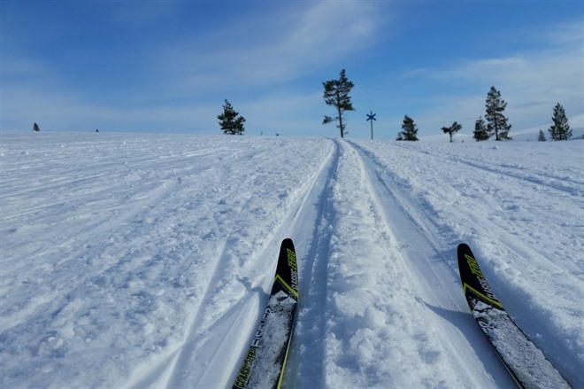 Cross-country skiing - Lapland