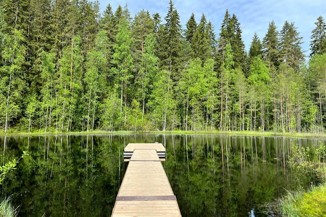 Small lake within forest in Lahti region - Finland