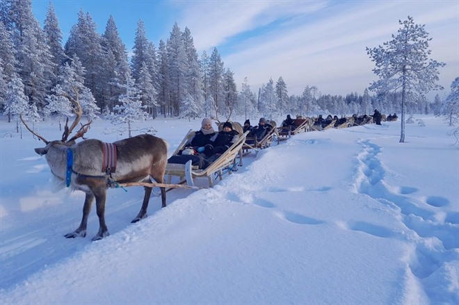 Reindeer sleigh ride