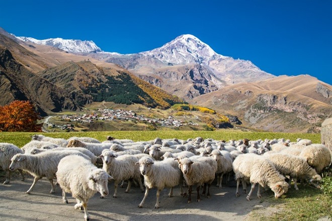 AKHALTSIKHE TO KAZBEGI