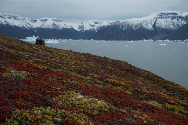 EAST GREENLAND