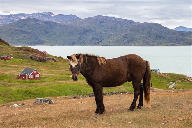 Hiking from Tasiusak to Qassiarsuk