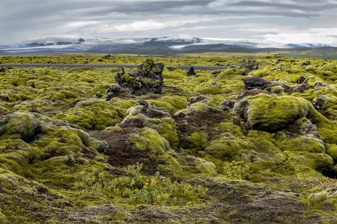 Icelandic landscape