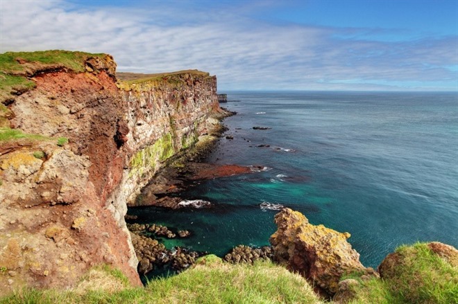 Látrabjarg bird cliffs - Iceland