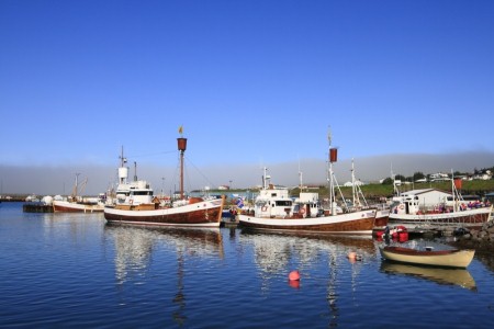 Harbour in Iceland